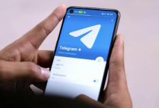 Link Masuk Grup Telegram Doodstream  Sesuai Gambar Gratis Tanpa Harus Bayar, Streaming Online Ribuan Video Kualitas HD