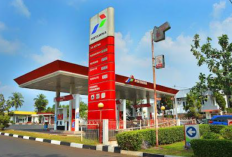 Isu Pertalite Ditiadakan Mencuat! Mobil Tak Bisa Isi BBM Subsidi Akibar Error, Ini Penjelasan dari Pertamina