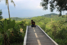 Surga Tersembunyi Peninggalan Belanda, Wisata di Pringsewu Lampung Jadi Primadona!