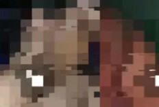 Video Syur Kuala Kurun Viral di Telegram Rekam Aksi Tak Terpuji Pria dan Wanita di Jember 
