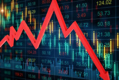 Apakah Broker Didimax Penipuan atau Bukan? Pemula Dalam Investasi Wajib Catat Fakta Ini Biar Nggak Kegocek