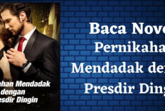 Sinopsis Novel Pernikahan Mendadak dengan Presdir Dingin, Jalinan Kasih CEO Dingin dengan Wanita Malang!