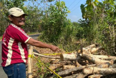 Geger! Penemuan Bayi Laki-Laki di Mojo Kediri, Ditemukan di Teras Rumah Warga dalam Kondisi Sehat dan Tali Pusar Terpotong