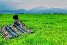 Bikin Takjub! Keajaiban Sabana Rawa Pening Muncul Ketika Air Danau Mengering, Jadi Buruan Wisata Pelancong