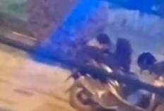 Download Video Asli Sejoli Taman Sumur Gemuling Tuban Terciduk Berbuat Tak Senonoh Ramai Tersebar di Grup WhatsApp