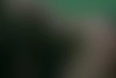 Link Video 6 Menit Wakatobi Viral Diburu Warganet, Versi No Sensor Wajib Ditonton Sebelum Dihapus!
