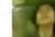 Video Vania Ngawi Viral Full 49 Detik, Ternyata Siswi SMP 1 Ngawi yang Masih di Bawah Umur