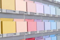 Katalog Warna Cat Jotun Interior Terbaru: Pilihan Warna yang Trendi untuk Rumah yang Semakin Indah!