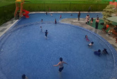 Lokasi Kolam Renang Jambangan Hore (Jambore) Playland Surabaya, Harga Tiket Murah dan Strategis!