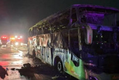 Lampu Utama Padam, Ini Awal Mula Kebakaran Bus Volvo Gunung Harta, Kerugian Ditaksir Capai Rp3,5 Miliar