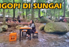 Berburu Kuliner di Angkringan Alas Dowo Nganjuk, Hidden Gem Kawula Muda untuk Nongkrong dan Berwisata!