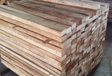 Daftar Harga Kayu Untuk Bangunan di Ponorogo Terlengkap dan Terbaru 2023, Kualitas Top Banget
