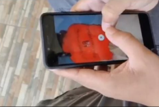 Video Viral Vania Ngawi Bocor Terabox, Telegram, Doodstream! Ternyata Isinya Bikin Gagal Fokus