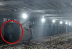 Video Penampakan Pocong di Peternakan Trending, Warganet Ngaku Kerap Ketemu Kasus yang Sama 