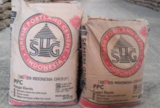 Daftar Harga Semen Gresik Berbagai Jenis Desember 2023 di Pekanbaru, Berikut Tips Dapatkan Harga Murah!