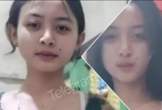 Video Andini Permata Part 2 Full Durasi Asli di Telegram, Ternyata Jumlahnya Ada Banyak!