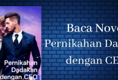 Sinopsis Novel Pernikahan Dadakan dengan CEO, Ketika Pemuda Tampan Kaya Raya Jatuh Cinta dengan Gadis Sederhana