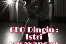 Sinopsis Novel Istri Kesayangan CEO, Berawal Dari Parfum Cinta Bersemi Pun Dimulai!