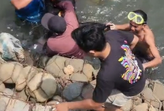 Pelaku Pembunuhan Pegawai SPPG Bengkulu Terungkap, Motifnya Diduga Karena Sakit Hati dengan Korban!