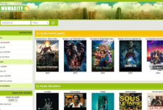 Diffusion en continu sur Wawacity Nouvelle Adresse Août, Une sélection des derniers films pour accompagner votre journée