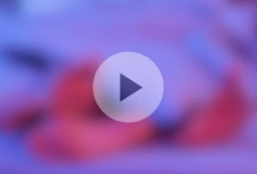 Video Guru Agama Grobogan Viral Tanpa Sensor, Link Asli Surasi Full No Tipu Tipu!
