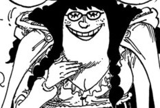 Lien One Piece Chapitre 1135 VF Scan A Révélé Le Pouvoir Du Jumeau D'akagami