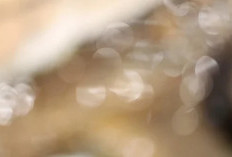 Link Video Bokeh No Blur yang Lagi Rame Jadi Buruan di Twitter dan TikTok, Tanpa Sensor Tonton Langsung di Sini