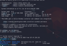 Download Script Termux Tool X dan Cara Menggunakannya, Lebih Mudah Dipelajari Sendiri