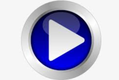 Vídeo Uma Idosa foi Atropelada por um Carro Viral, O Autor do Crime Tinha Apenas 21 Anos