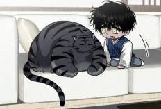 Lire Manhwa Eye of the Storm Chapitre 14 Scan VF et Spoilers Revelent: Jouer Avec Un Tigre Endormi