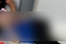 Link Download Video Viral Hotel Terbaru Ciduk Pasangan Lagi Begitu, Khusus Dewasa 