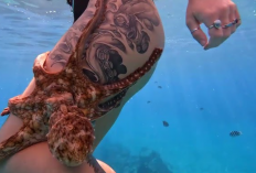 La Vidéo One Girls One Octopus Non Censurée Devient Virale, Le Contenu Est Intriguant !
