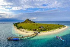 Sumbawa Besar Ditarget Jadi Ibu Kota Provinsi Pulau Sumbawa Usai Memisahkan Diri Dari NTB, Begini Faktanya 