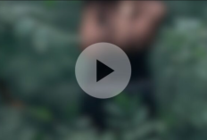 Vídeo Viral de Helen Vásquez Telegrama Completo, Tense Compruebe Aquí el Contenido