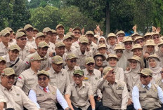 Kemenhaj Buka Seleksi Petugas Haji 2027 Bidang Kesehatan: Lowongan untuk Dokter, Perawat, dan Apoteke