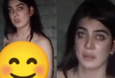 Video Dolphin Ayan Viral Tiktok Twitter X Hebohkan Warganet, Durasi Full Tanpa Sensor!