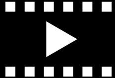 Link para Download do Vídeo Viral Mulher Trans Mata Ex-namorada Portal Zacarias Full HD sem Censura