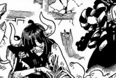 Lire le Manga One Piece Chapitre 1146 Scan VF FR, Deuxième District Forestier