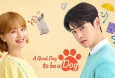 Nonton Drama A Good Day to Be a Dog (2023) Episode 10 SUB INDO, Pertemuan Menegangkan Seo Won dan Eun Hwan
