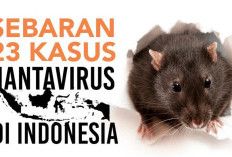 Kasus Hantavirus Masuk di Indonesia, Kemenkes Mendeteksi 23 Orang dan 3 Meninggal Dunia! 