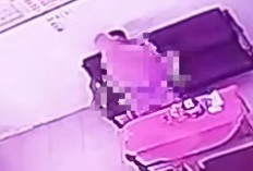 Rekaman CCTV Kepala Sekolah dan Guru di Pekalongan Viral Kepergok Lakukan Tindakan Asusila, Berujung Dicopot dan Dipindahkan