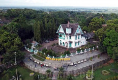 Lahan Surga Pertanian! Pemekaran Kabupaten Soppeng Ditarget Jadi Daerah Penopang Provinsi Bugis Timur 