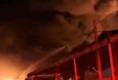Kebakaran Gudang Paket di Miami Jakbar Hanguskan 4 Bangunan Hingga Picu Ledakan!