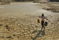 Waspada Dampak Fenomena Godzilla El Nino di Indonesia, Begini Penjelasan BMKG dan BRIN tentang Tanda-Tandanya