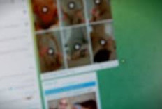 Vídeo Vazados Telegram 2025 A Seguir Estão Os Links De Canais Que Apresentam Vários Conteúdos Adultos
