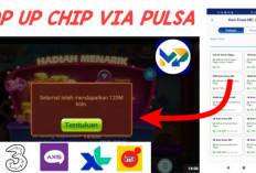 Cara Beli Chip Higgs Domino Murah Pakai Pulsa 3000, Langsung Masuk Via Codashop, Unipin dan Mocipay!