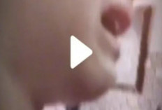 Link Video Bokeh No Blur Yang Asli 2024 Full Durasi Tanpa Cut, Jadi Buruan di Grup WA dan Telegram 