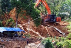 Tebing Sungai Kuantan Silokek Longsor, 12 Alat Tambang Tertimbun dan 4 Orang Terluka