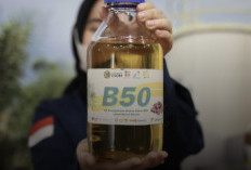 Daftar Harga BBM Biosolar B50 Rp6.800 Per Liter Untuk Kendaraan Penumpang dan Rp15 Ribu Untuk Industri