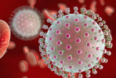 Peringatan Virus Zika di Bali Sempat Memanas, Kemenkes RI Tepis Isu dan Pastikan Aman!